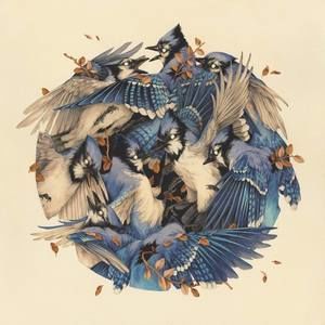 Meet your Posher, Mason